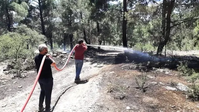 2 hektarlık alanın kül olduğu orman yangını büyümeden söndürüldü 2 hektarlık alanın kül olduğu orman yangını büyümeden söndürüldü