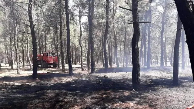 2 hektarlık alanın kül olduğu orman yangını büyümeden söndürüldü 2 hektarlık alanın kül olduğu orman yangını büyümeden söndürüldü
