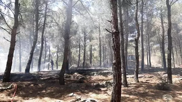 2 hektarlık alanın kül olduğu orman yangını büyümeden söndürüldü 2 hektarlık alanın kül olduğu orman yangını büyümeden söndürüldü