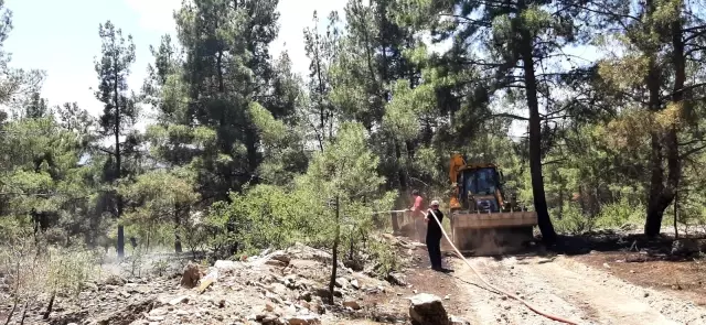 2 hektarlık alanın kül olduğu orman yangını büyümeden söndürüldü 2 hektarlık alanın kül olduğu orman yangını büyümeden söndürüldü