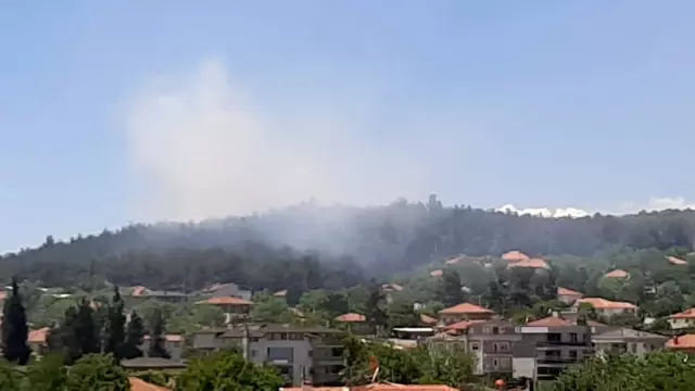 2 hektarlık alanın kül olduğu orman yangını büyümeden söndürüldü 2 hektarlık alanın kül olduğu orman yangını büyümeden söndürüldü