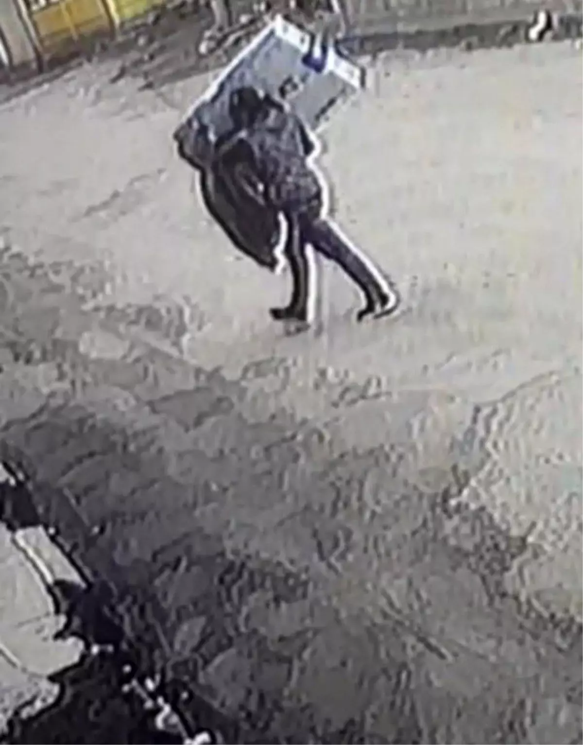 Ağrı'da suç makinesi olan hırsızlar yakalandı
