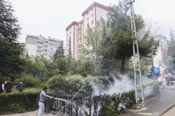 Ankara'da şiddetli rüzgar; ağaçlar devrildi, elektrik telleri koptu Ankara'da şiddetli rüzgar; ağaçlar devrildi, elektrik telleri koptu