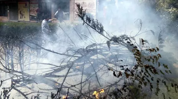 Ankara'da şiddetli rüzgar; ağaçlar devrildi, elektrik telleri koptu Ankara'da şiddetli rüzgar; ağaçlar devrildi, elektrik telleri koptu
