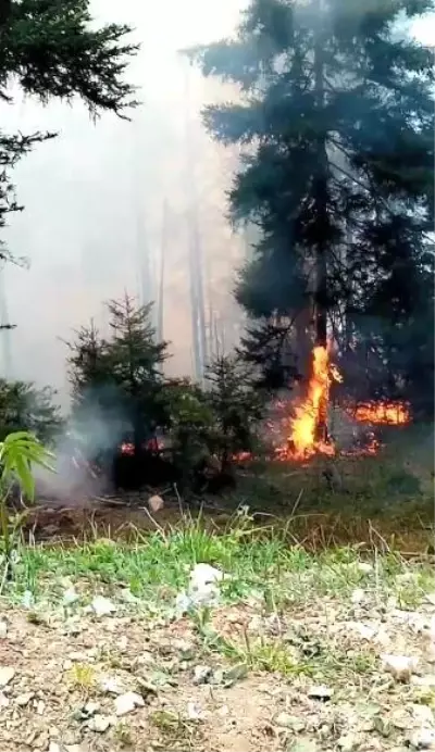 Artvin'de orman yangını Artvin'de orman yangını