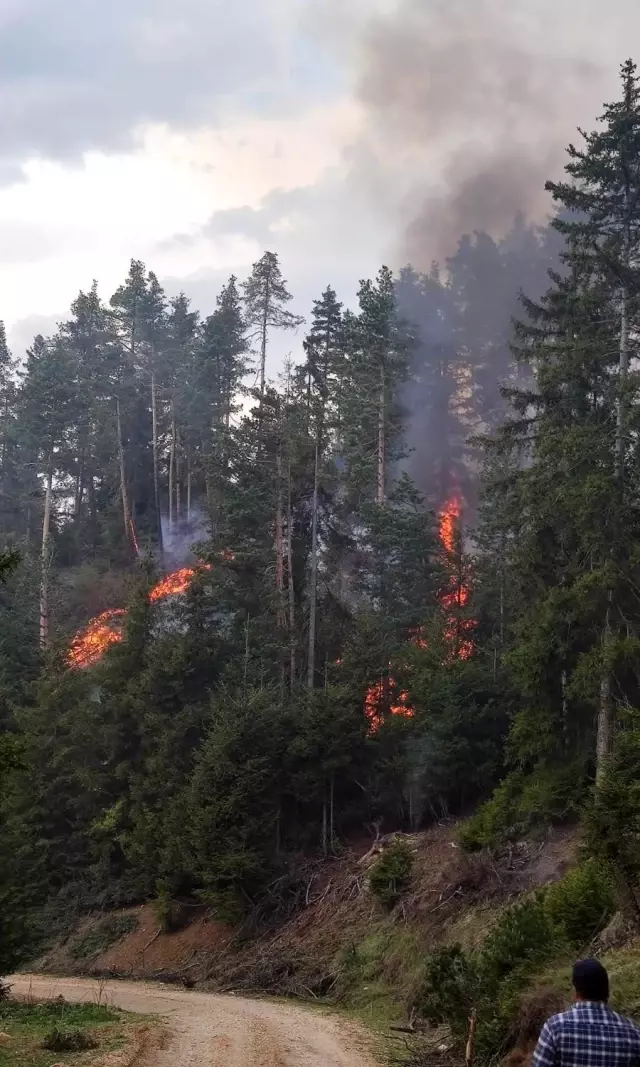 Artvin'de orman yangını Artvin'de orman yangını