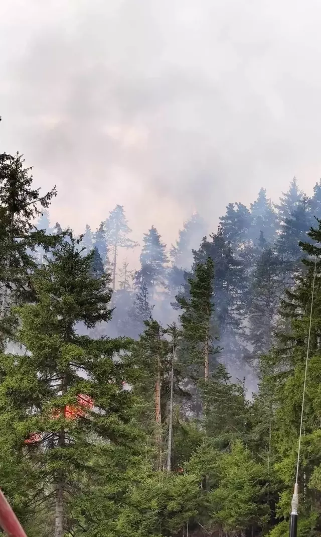 Artvin'de orman yangını Artvin'de orman yangını