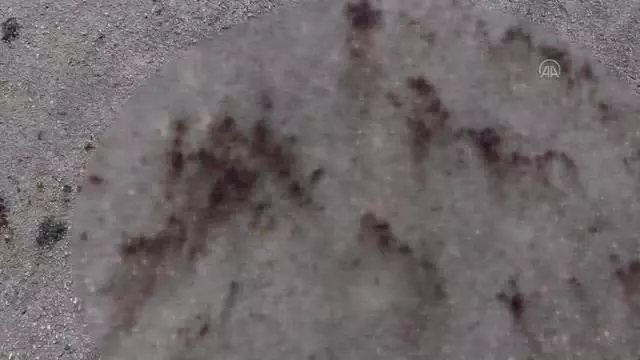 Bıçaklı kavgada 1 kişi yaralandı Bıçaklı kavgada 1 kişi yaralandı