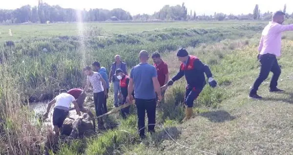 ÇAMURA SAPLANAN İNEĞİ İTFAİYE ERLERİ KURTARDI ÇAMURA SAPLANAN İNEĞİ İTFAİYE ERLERİ KURTARDI