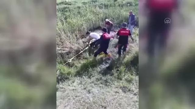 Son dakika haberi | Çamura saplanarak mahsur kalan ineği itfaiye kurtardı Son dakika haberi | Çamura saplanarak mahsur kalan ineği itfaiye kurtardı