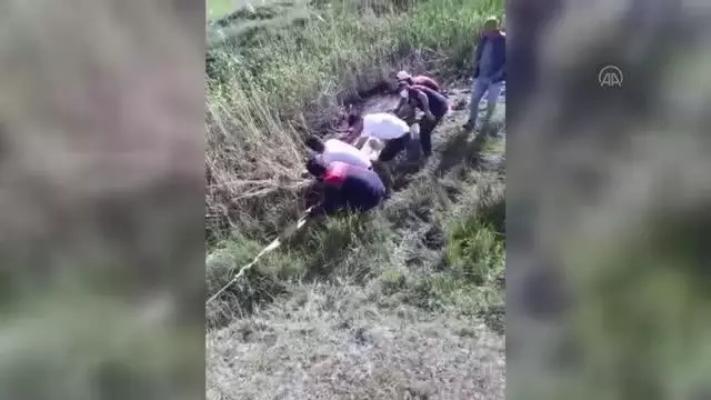 Son dakika haberi | Çamura saplanarak mahsur kalan ineği itfaiye kurtardı Son dakika haberi | Çamura saplanarak mahsur kalan ineği itfaiye kurtardı