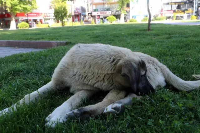 Turizm merkezlerinde 'tam kapanma' sessizliği sürüyor Turizm merkezlerinde 'tam kapanma' sessizliği sürüyor