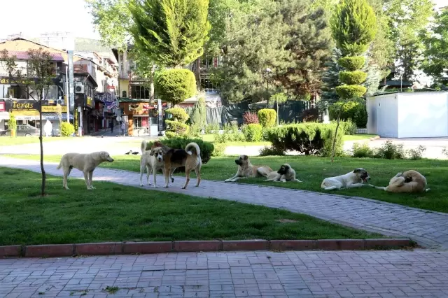 Turizm merkezlerinde 'tam kapanma' sessizliği sürüyor Turizm merkezlerinde 'tam kapanma' sessizliği sürüyor