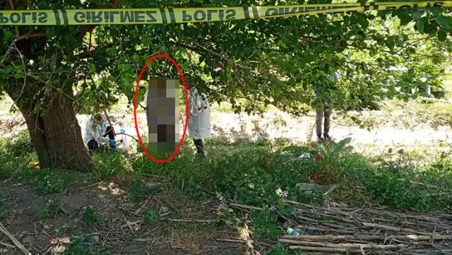 Devriye gezen polis, ağaca asılı ceset buldu Devriye gezen polis, ağaca asılı ceset buldu