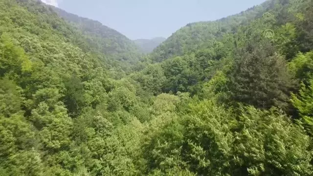 (DRONE) Dörtyol'da bulunan Kovukçınar Şelalesi ziyaretçilerini bekliyor
