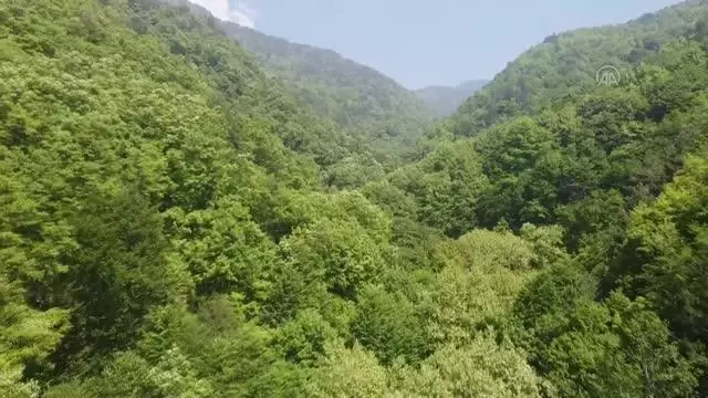 (DRONE) Dörtyol'da bulunan Kovukçınar Şelalesi ziyaretçilerini bekliyor