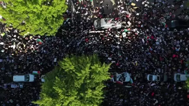 Filistin'e destek gösterisi Filistin'e destek gösterisi