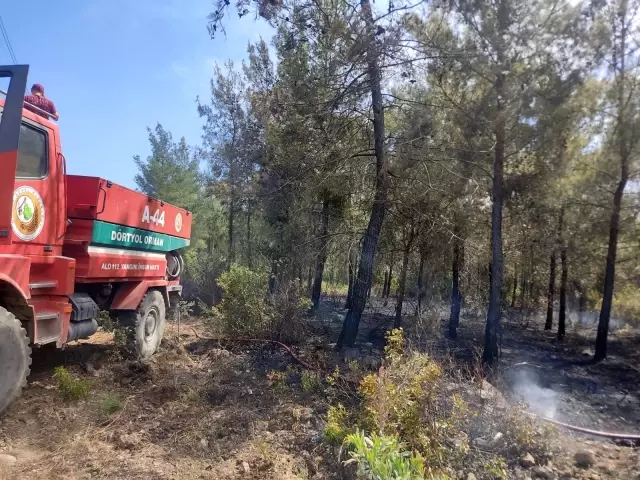 Son dakika! Hatay'daki orman yangınında 1 hektarlık alan zarar gördü Son dakika! Hatay'daki orman yangınında 1 hektarlık alan zarar gördü