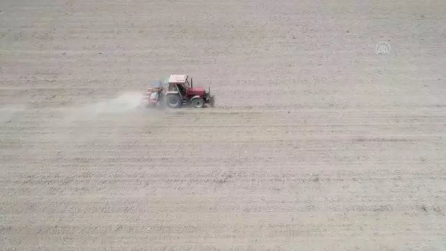 KIRKLARELİ - Trakya'da çiftçiler 'tam kapanma' sürecinde de üretimlerini sürdürdü KIRKLARELİ - Trakya'da çiftçiler 'tam kapanma' sürecinde de üretimlerini sürdürdü