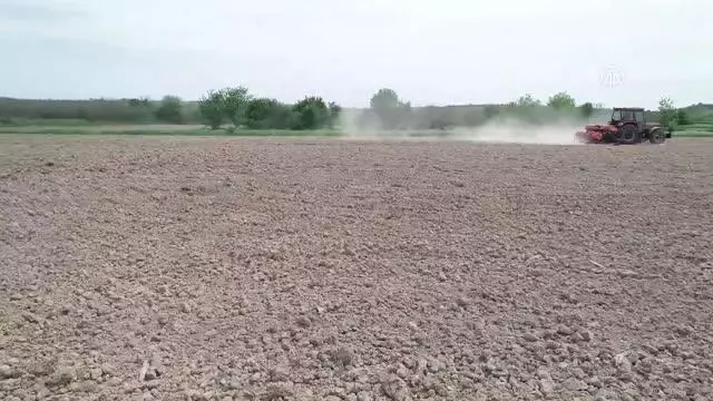 KIRKLARELİ - Trakya'da çiftçiler 'tam kapanma' sürecinde de üretimlerini sürdürdü KIRKLARELİ - Trakya'da çiftçiler 'tam kapanma' sürecinde de üretimlerini sürdürdü