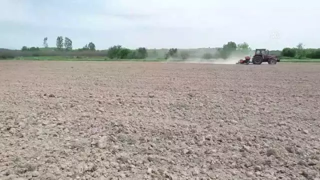 KIRKLARELİ - Trakya'da çiftçiler 'tam kapanma' sürecinde de üretimlerini sürdürdü KIRKLARELİ - Trakya'da çiftçiler 'tam kapanma' sürecinde de üretimlerini sürdürdü