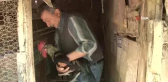 Ezan: Son dakika haberleri! - Koronavirüs yasakları Denizli horozuna olan ilgiyi arttırdı Ezan: Son dakika haberleri! - Koronavirüs yasakları Denizli horozuna olan ilgiyi arttırdı