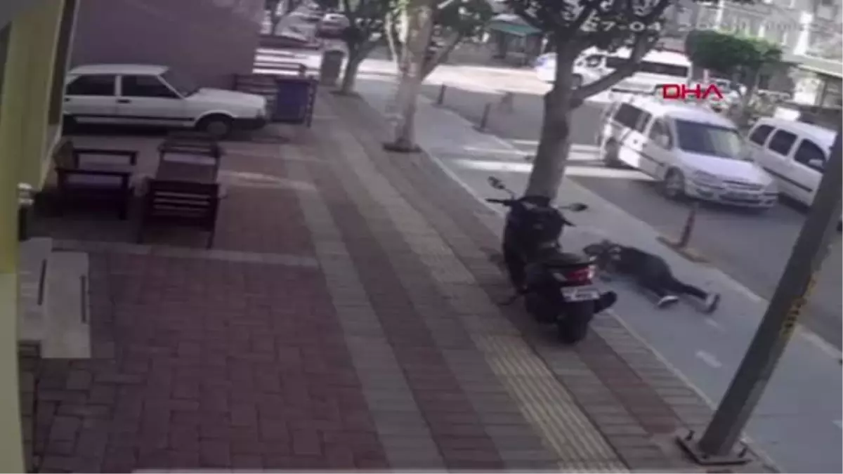 Motosikletiyle köpeğe çarpıp yaralandı, 19 gün sonra hastanede yaşamını yitirdi