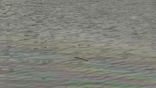Motosikletle çarpışan taksi Seyhan Nehri'ne düştü: 2 yaralı Motosikletle çarpışan taksi Seyhan Nehri'ne düştü: 2 yaralı