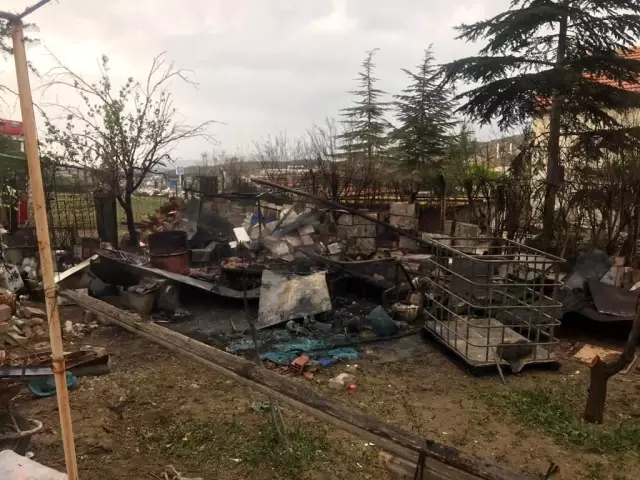 Müstakil evin bahçesinde çıkan yangın söndürüldü Müstakil evin bahçesinde çıkan yangın söndürüldü