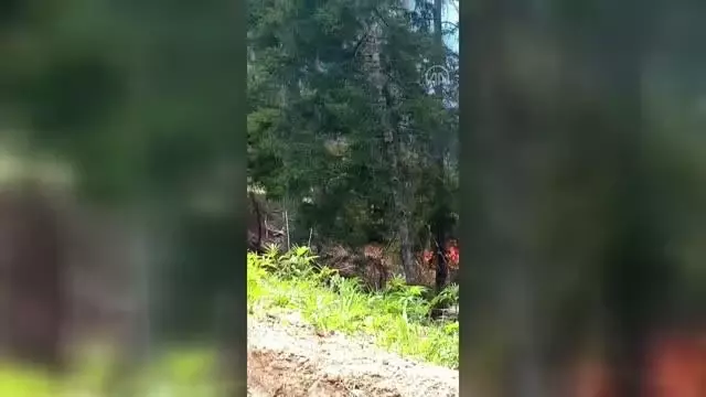 Son dakika gündem: Ormanlık alanda çıkan yangın 4 saatte kontrol altına alındı Son dakika gündem: Ormanlık alanda çıkan yangın 4 saatte kontrol altına alındı