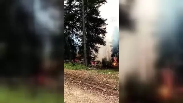 Son dakika gündem: Ormanlık alanda çıkan yangın 4 saatte kontrol altına alındı Son dakika gündem: Ormanlık alanda çıkan yangın 4 saatte kontrol altına alındı