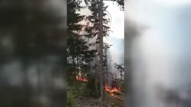 Son dakika gündem: Ormanlık alanda çıkan yangın 4 saatte kontrol altına alındı Son dakika gündem: Ormanlık alanda çıkan yangın 4 saatte kontrol altına alındı