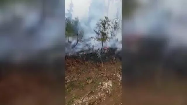 Son dakika gündem: Ormanlık alanda çıkan yangın 4 saatte kontrol altına alındı Son dakika gündem: Ormanlık alanda çıkan yangın 4 saatte kontrol altına alındı