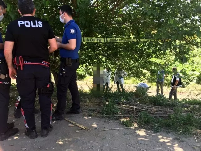 Devriye gezen polis, ağaca asılı ceset buldu Devriye gezen polis, ağaca asılı ceset buldu