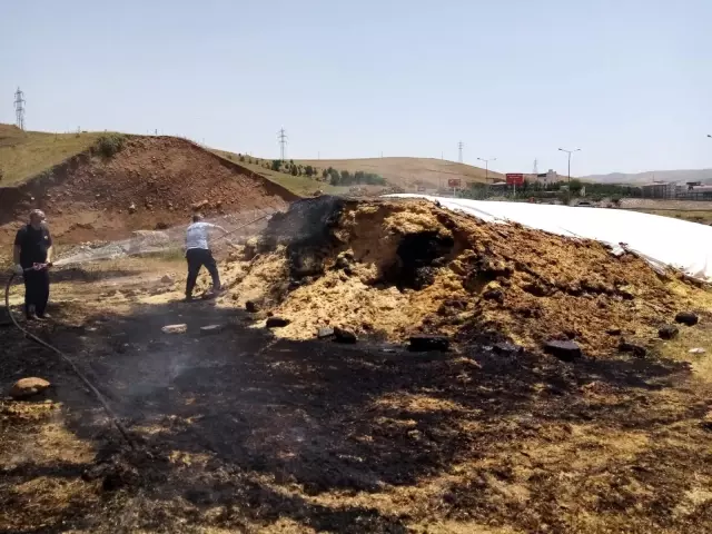 Son Dakika | Siirt'te yangında samanlar kül oldu Son Dakika | Siirt'te yangında samanlar kül oldu