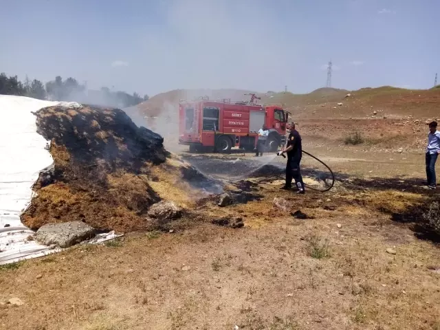 Son Dakika | Siirt'te yangında samanlar kül oldu Son Dakika | Siirt'te yangında samanlar kül oldu