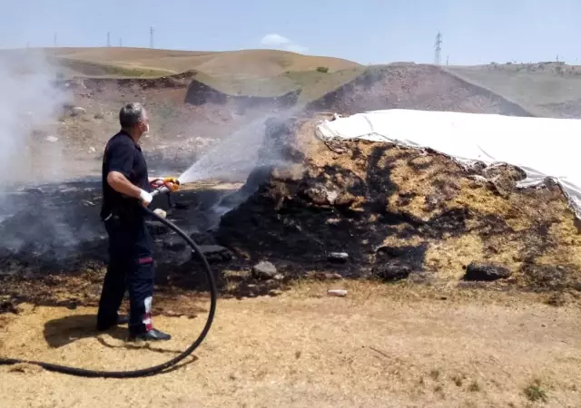 Son Dakika | Siirt'te yangında samanlar kül oldu Son Dakika | Siirt'te yangında samanlar kül oldu