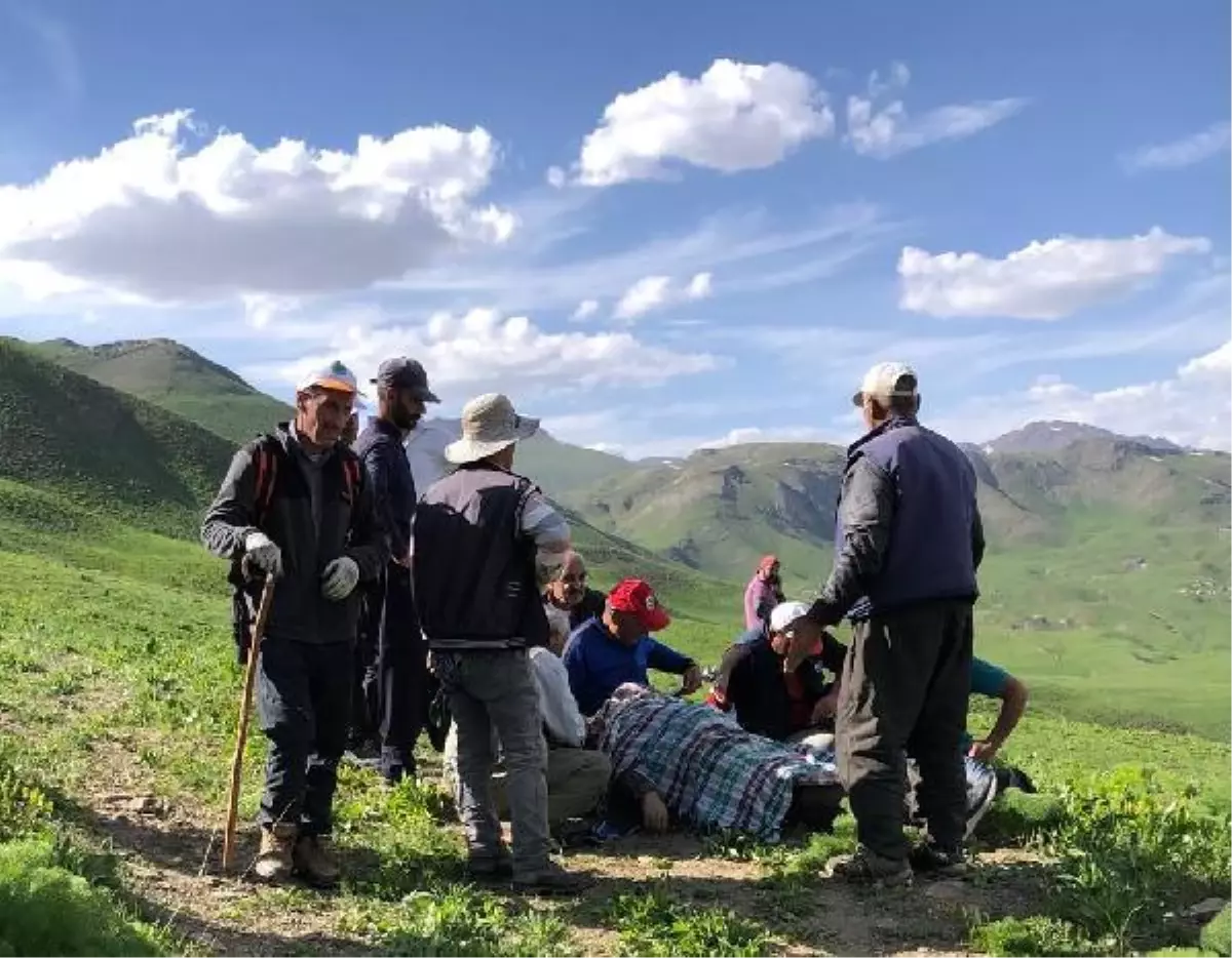 Son dakika gündem: Yemeklik ot toplarken kalp krizinden öldü