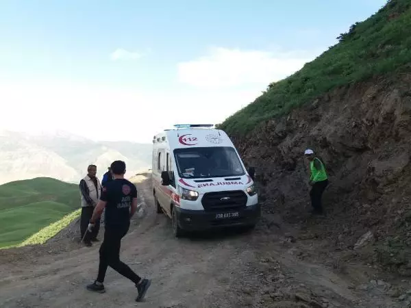 Son dakika gündem: Yemeklik ot toplarken kalp krizinden öldü