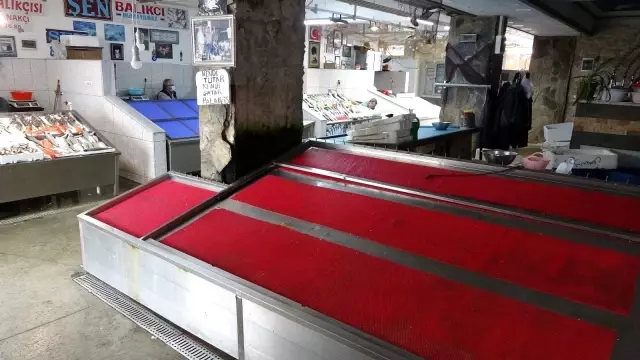 Bayram sonrası kıyı balıkçıları da balıkçı esnafının derdine derman olmadı Bayram sonrası kıyı balıkçıları da balıkçı esnafının derdine derman olmadı