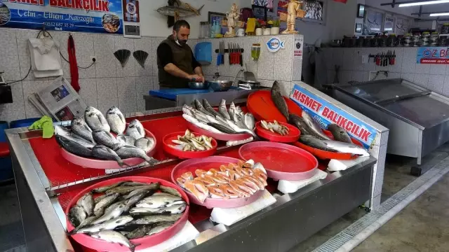 Bayram sonrası kıyı balıkçıları da balıkçı esnafının derdine derman olmadı Bayram sonrası kıyı balıkçıları da balıkçı esnafının derdine derman olmadı