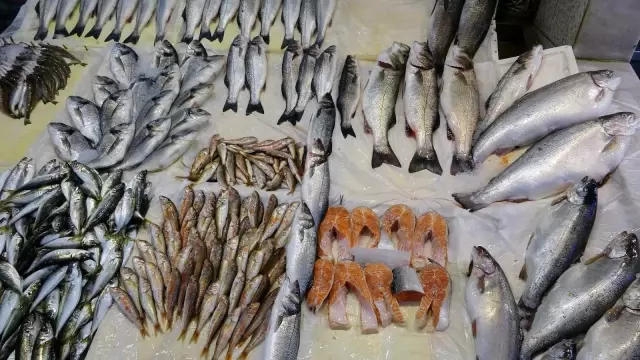 Bayram sonrası kıyı balıkçıları da balıkçı esnafının derdine derman olmadı Bayram sonrası kıyı balıkçıları da balıkçı esnafının derdine derman olmadı