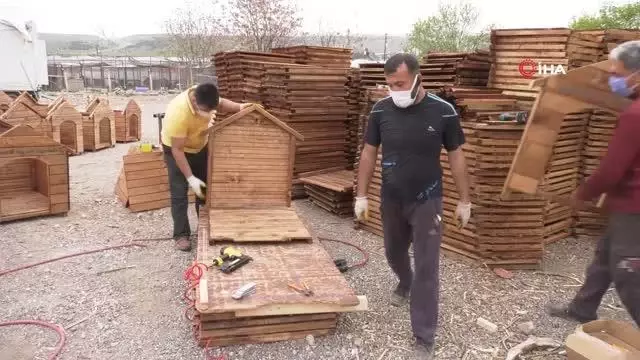 Büyükşehir'den sokak hayvanları için sıcak yuva Büyükşehir'den sokak hayvanları için sıcak yuva