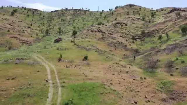 DİYARBAKIR - Ateş karşısında alın teri döken işçiler meşe odununu mangal kömürüne dönüştürüyor (2) DİYARBAKIR - Ateş karşısında alın teri döken işçiler meşe odununu mangal kömürüne dönüştürüyor (2)