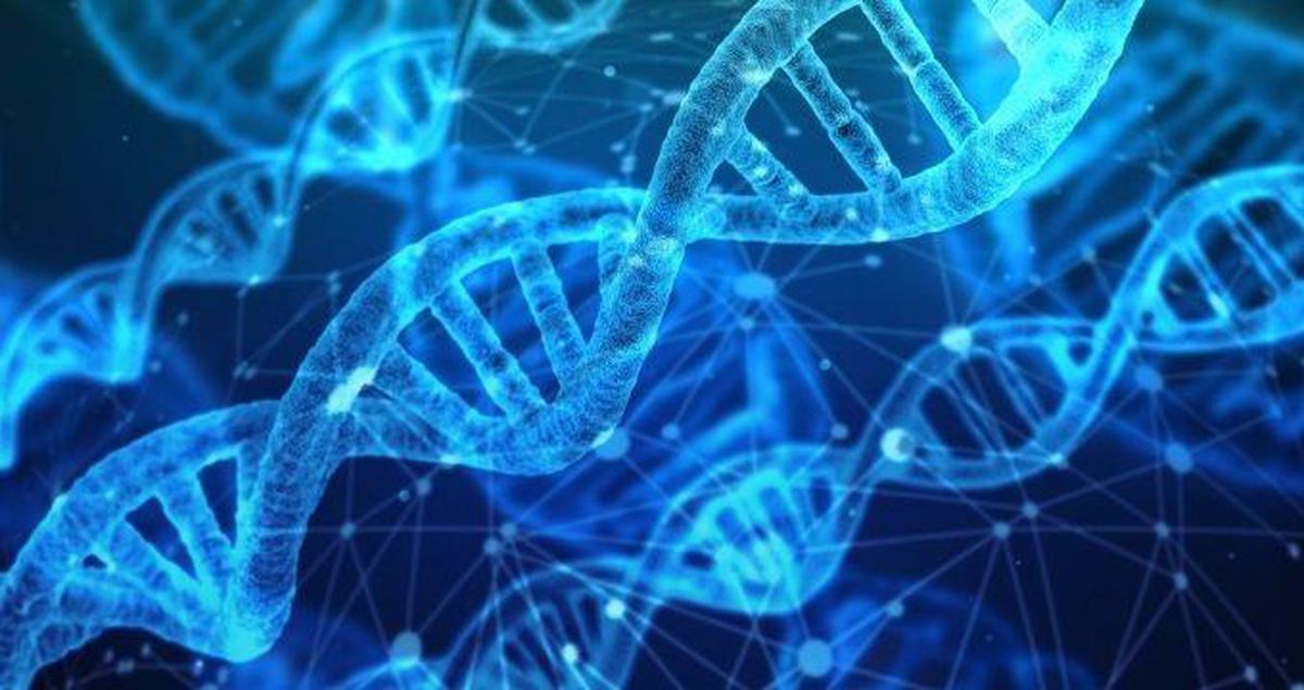Genombilim nedir? Genom nedir?