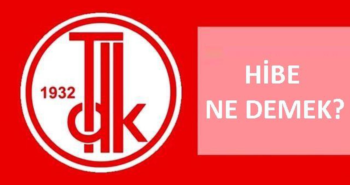 Hibe ne demek? TDK'ya göre hibe ne demek, ne anlama geliyor? Hibe nedir?