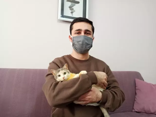 Leyla isimli kedi FIP virüsüyle yaşam savaşı veriyor Leyla isimli kedi FIP virüsüyle yaşam savaşı veriyor