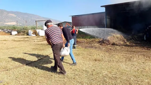 Saman ve yem deposu alevlere teslim oldu Saman ve yem deposu alevlere teslim oldu