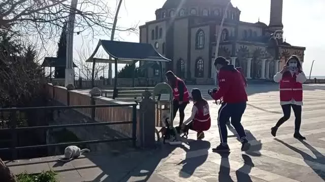 Suriyeli Ahmet nişanlısı için Türkiye'de yardım gönüllüsü oldu Suriyeli Ahmet nişanlısı için Türkiye'de yardım gönüllüsü oldu