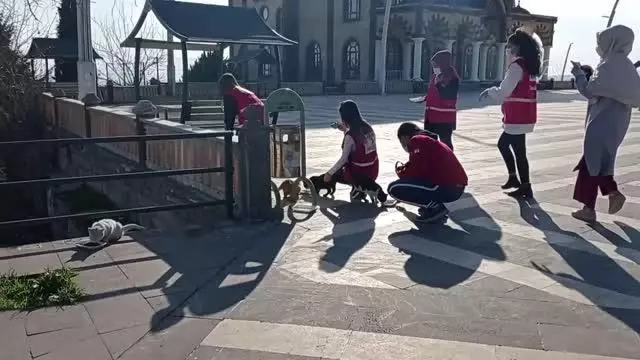 Suriyeli Ahmet nişanlısı için Türkiye'de yardım gönüllüsü oldu Suriyeli Ahmet nişanlısı için Türkiye'de yardım gönüllüsü oldu